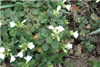b64cf739-Picture 028.jpg